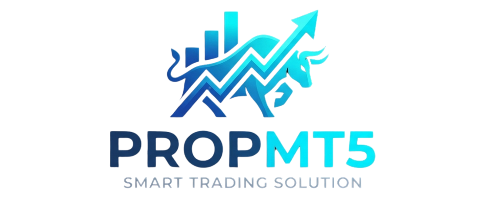 https://propmt5.karayadarisolutions.com/assets/Demo CRM